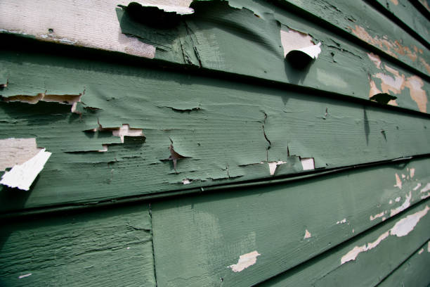 Best Residential Vinyl Siding Installation  in Island Heights, NJ