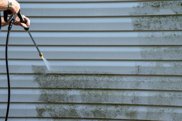 Professional Siding Installation & Repair in Island Heights, NJ