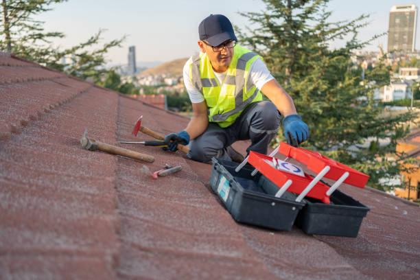  Island Heights, NJ Siding Installation Pros