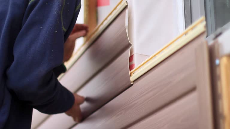 Best Custom Siding Design  in Island Heights, NJ
